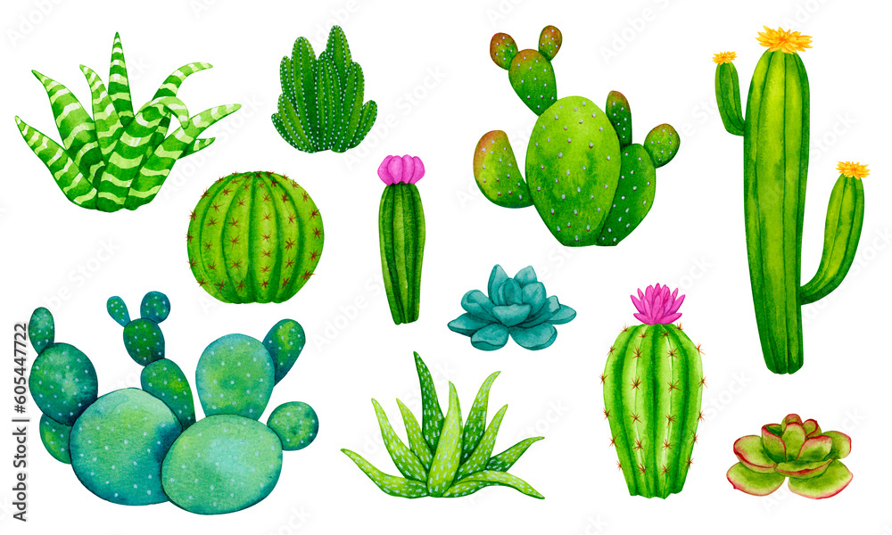 Big set of cacti and succulents. Scandinavian, boho style. Collection of watercolor elements for card design, fabric printing, stationery, logos, advertising and more. Big set of cacti and succulents. Scandinavian, boho style. Collection of watercolor elements for card design, fabric printing, stationery, logos, advertising and more.