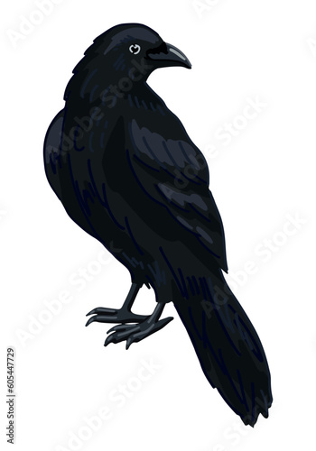 Standing crow clipart isolated on white. Cartoon style drawing of black raven wild bird. Halloween creepy fauna modern vector illustration.