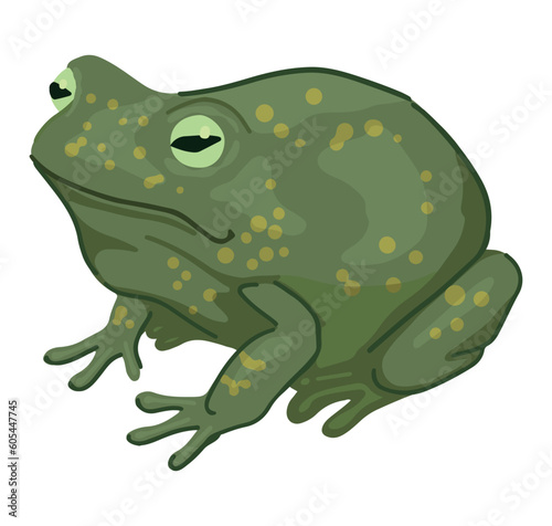 Frog clipart isolated on white. Cartoon style drawing of amphibian wild animal. Halloween creepy fauna modern vector illustration.