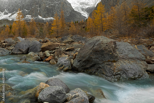 A landscape of a fast-flowing blue river with blurred white water among large stones and an autumn forest with yellow trees in the background and snow on the rocks