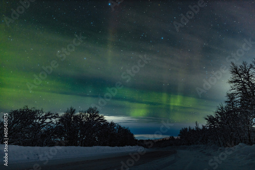 Night sky with stars and green polar northern lights on the background of roads, trees, snow in winter. Wide angle