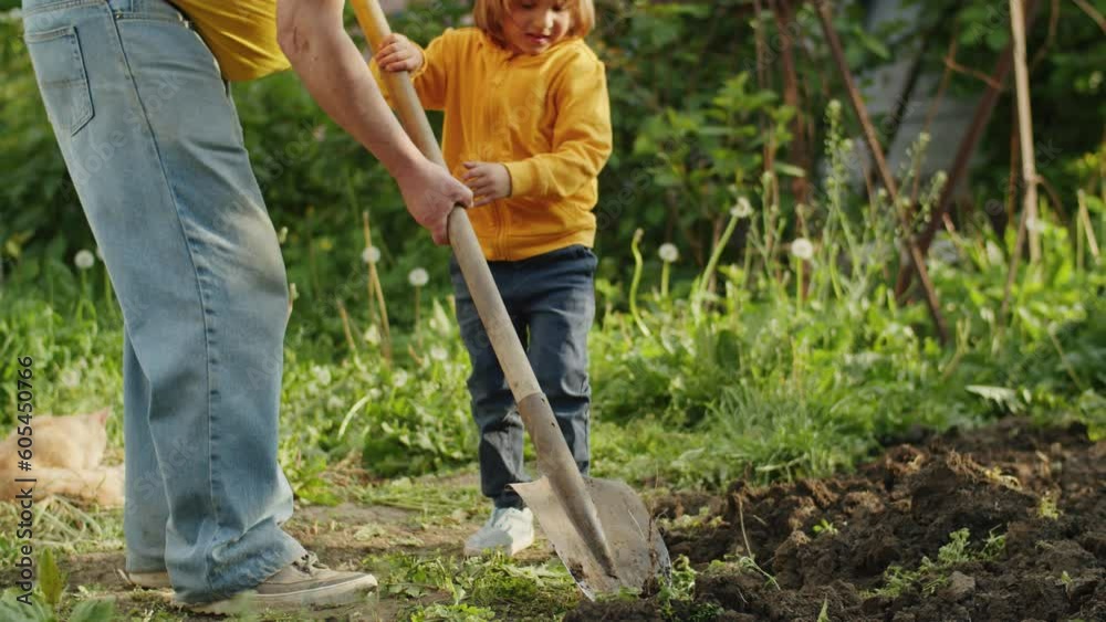 Gardeners of Nature: A farmer and the green landscape coexist in harmony, nurturing a garden that bears the fruits of healthy eating Gardeners of Nature: A farmer and the green landscape coexist in harmony, nurturing a garden that bears the fruits of healthy eating