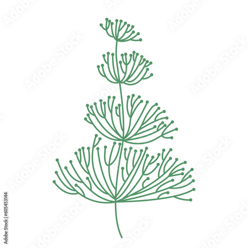 Underwater seaweed vector illustration. Hand drawn algae vector clipart