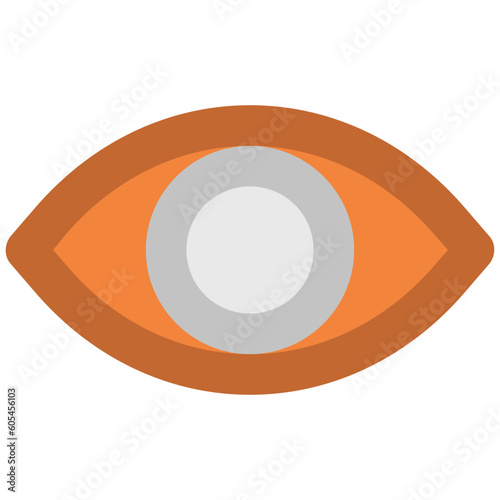 Bold line icon of an eye