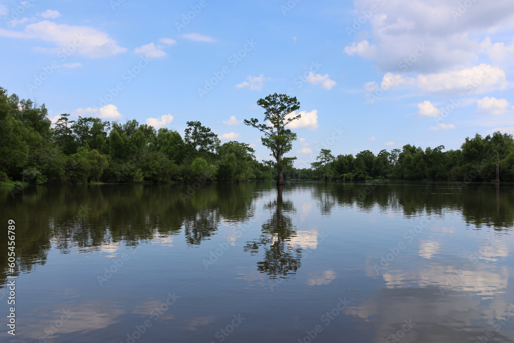 Obraz premium Peaceful Bayou