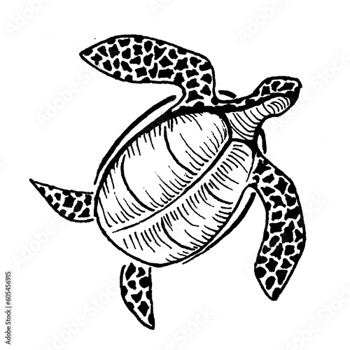 Set of big sea turtle cartoon cute animal design ocean tortoise swimming in water. Outline, line art hand drawn sketch vector illustration isolated on white background