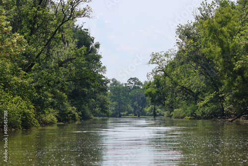 Down the canal