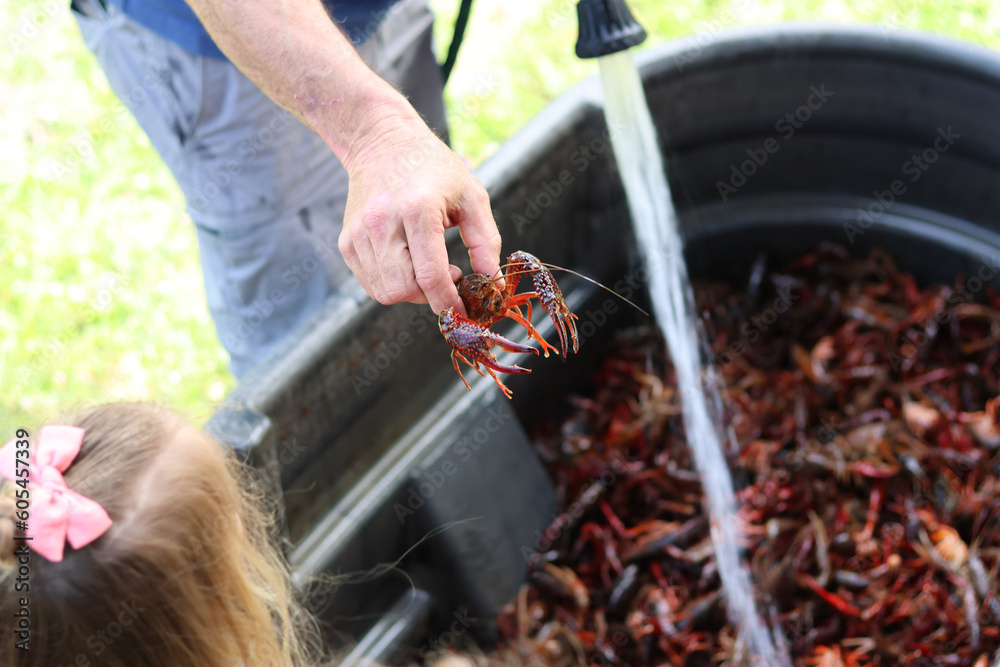 Fototapeta premium Holding a crawfish