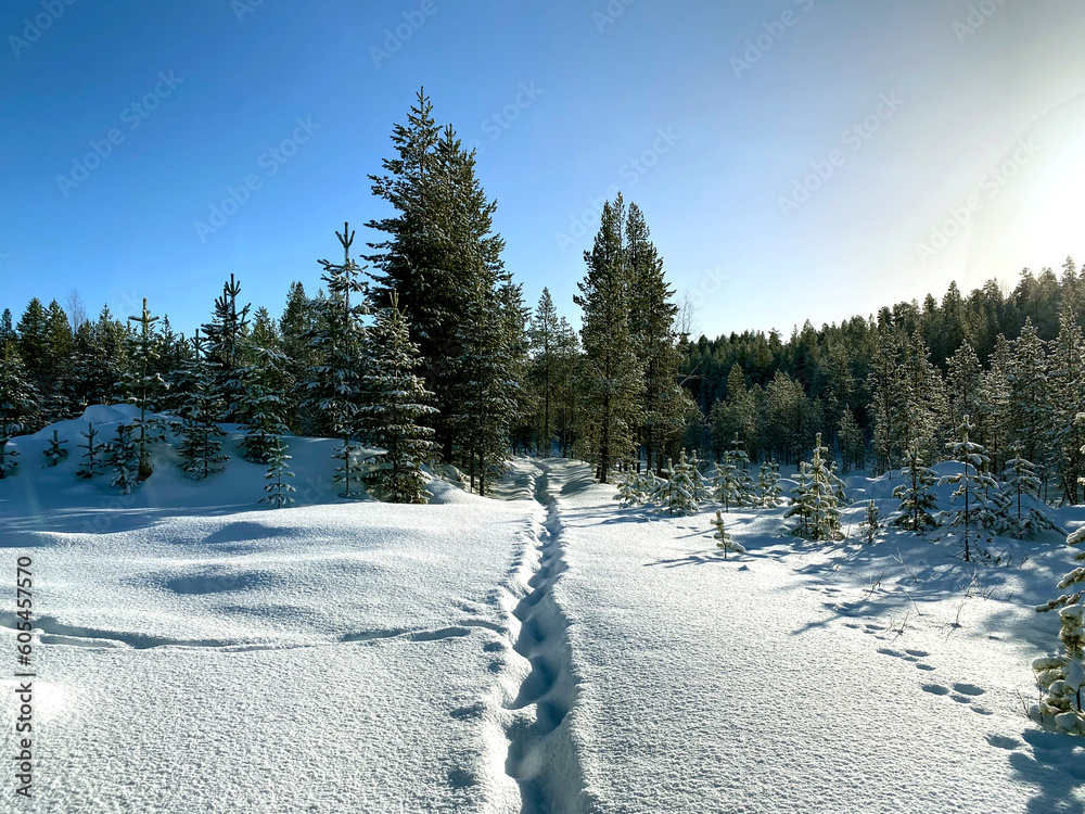 Winter in Lappland, Finnland