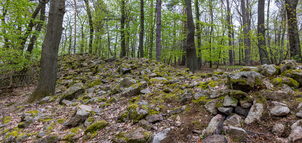 Thale Bodetal Hexentanzplatz Thale Bodetal Hexentanzplatz