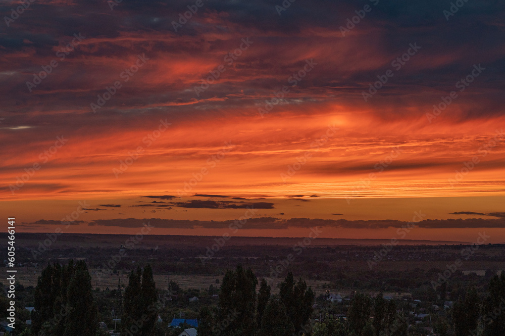 A blood-red sunset with the horizon in the distance. Large trees turn black against the background of a blood-red sunset.