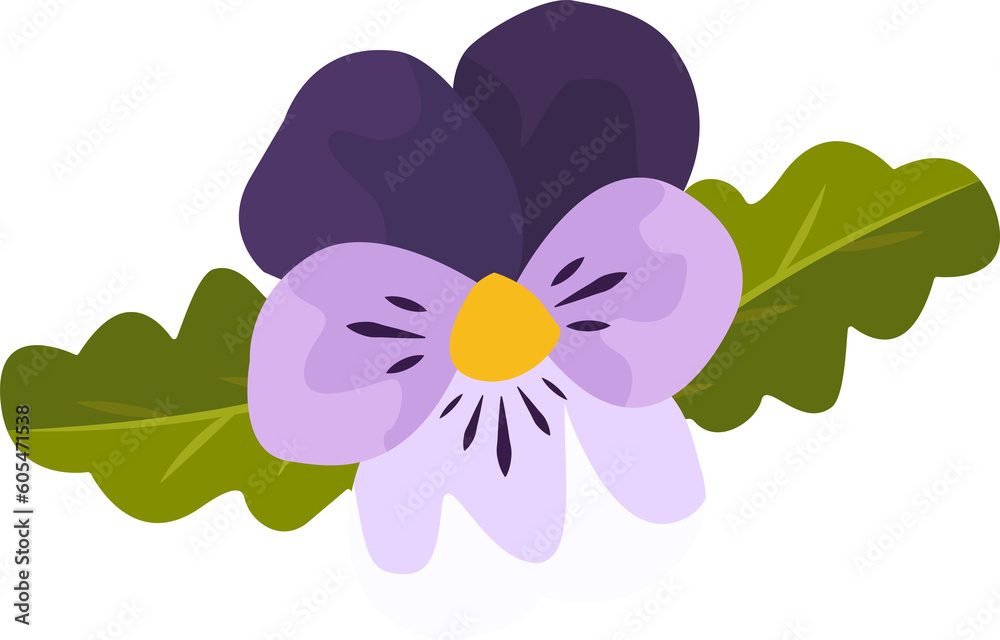 isolated summer violet flower head with purple petals png isolated summer violet flower head with purple petals png