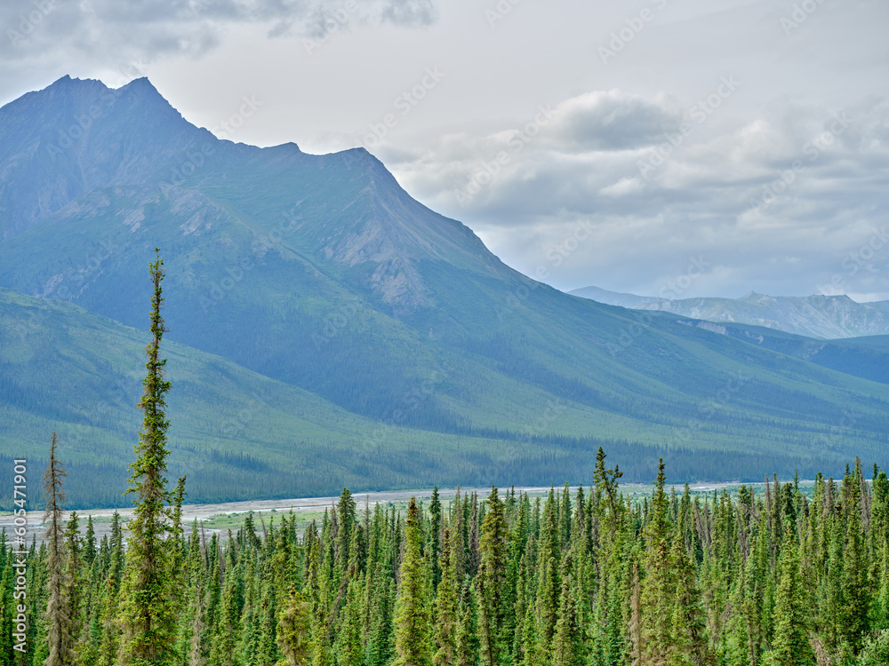 Tall and rugged mountains along a river creek in northern Alaska north of the Yukon River Stock