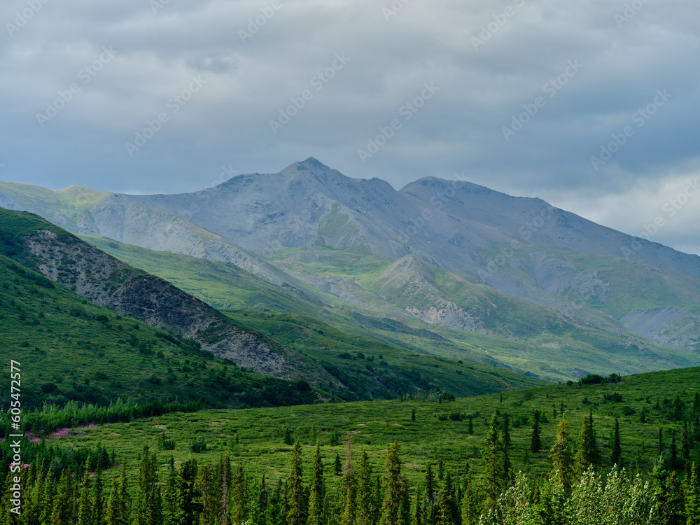 Fototapeta premium Rocky and bare mountain peaks set against the lush green pine and fir forests on the slopes