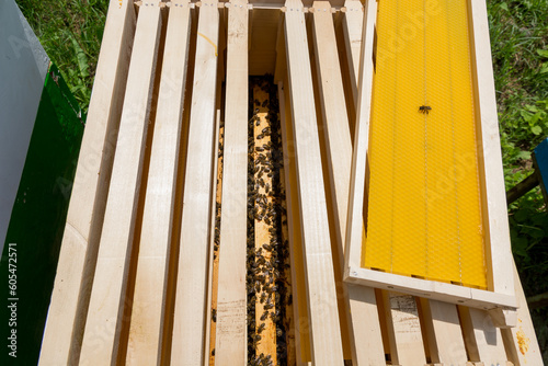 Exposed hive with newly added Frames and Foundation in Dadant hive for springtime. Beekeeping Concept