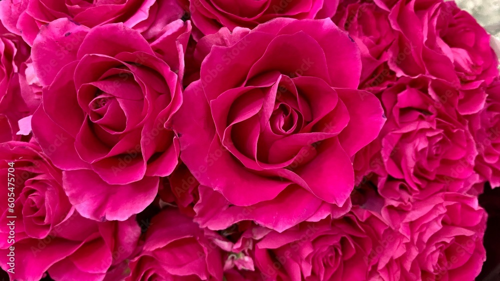 close up of a bunch of flowers close up of a bunch of flowers
