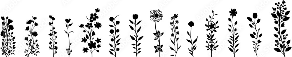 Natur Silhouetten: Vektor Set - Ranken mit Blumen, Pflanzen und Blättern