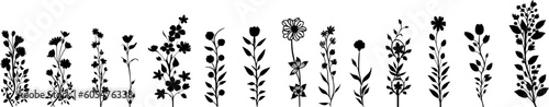 Natur Silhouetten: Vektor Set - Ranken mit Blumen, Pflanzen und Blättern