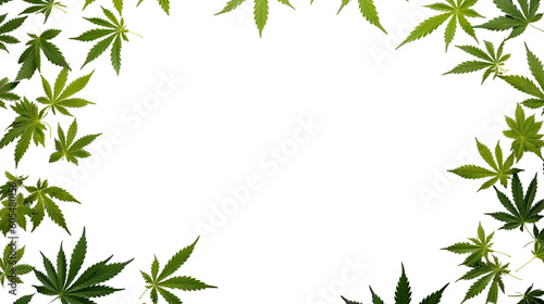 marijuana leaves as a frame border, isolated with copyspace © Perfect PNG