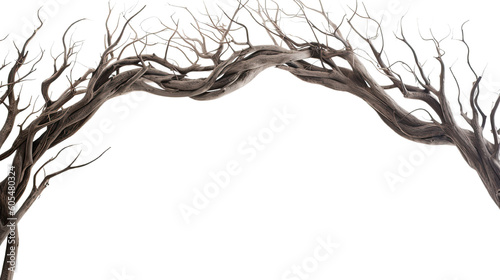 twisting branches as a frame border, isolated with copyspace