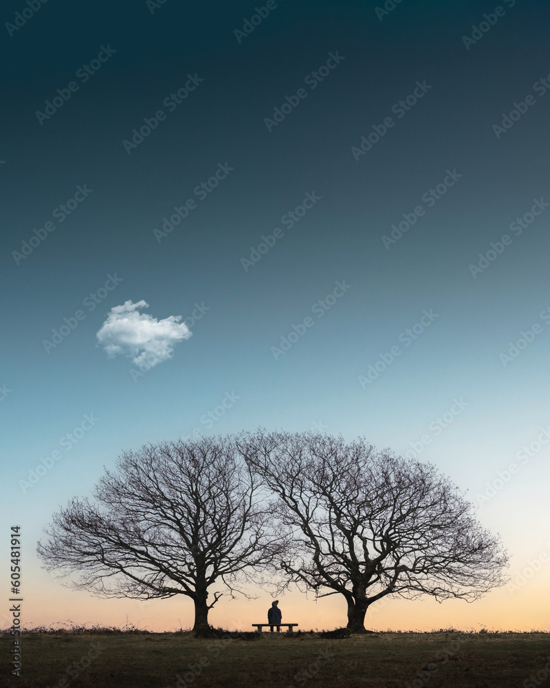 Fototapeta premium Hugging Trees