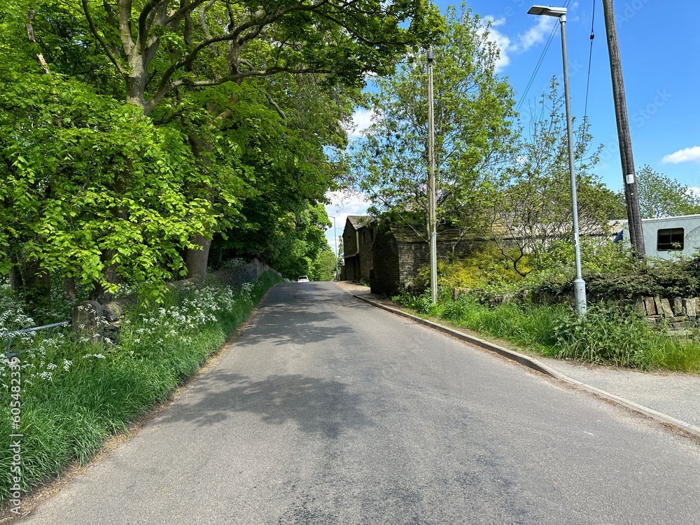 View along, Northedge Lane, with old trees, farm buildings, and wild plants in, Hipperholme, Halifax, UK
