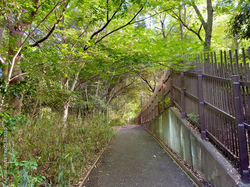 日本庭園