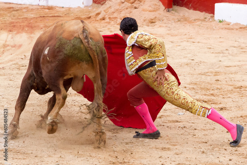 Torero y toro en la arena