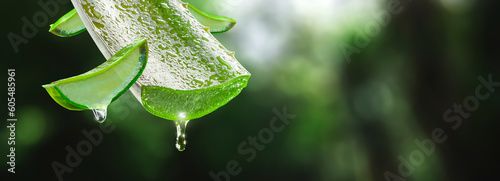 aloe vera liquid dripping from your fresh plant with slices around it