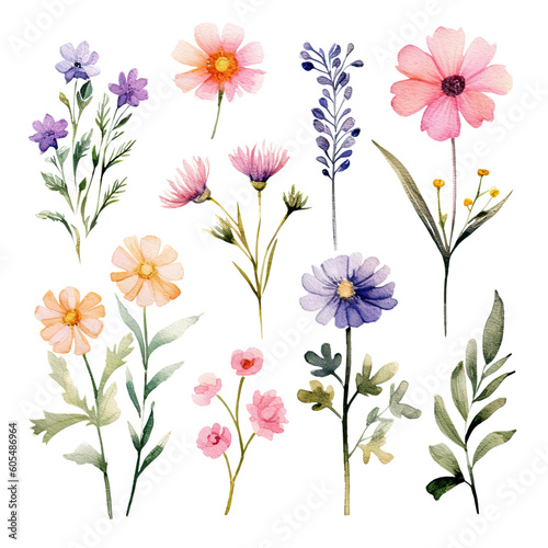 Cute Watercolor Spring Flowers Clip Art on Isolated Background 