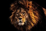 lions - The Mane Attraction: Get Ready to Be Captivated by Lion Visuals on Adobe