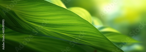 Natural green leaf background. Natural leaves green plants using as spring or summer background. Cover page greenery environment ecology wallpaper 