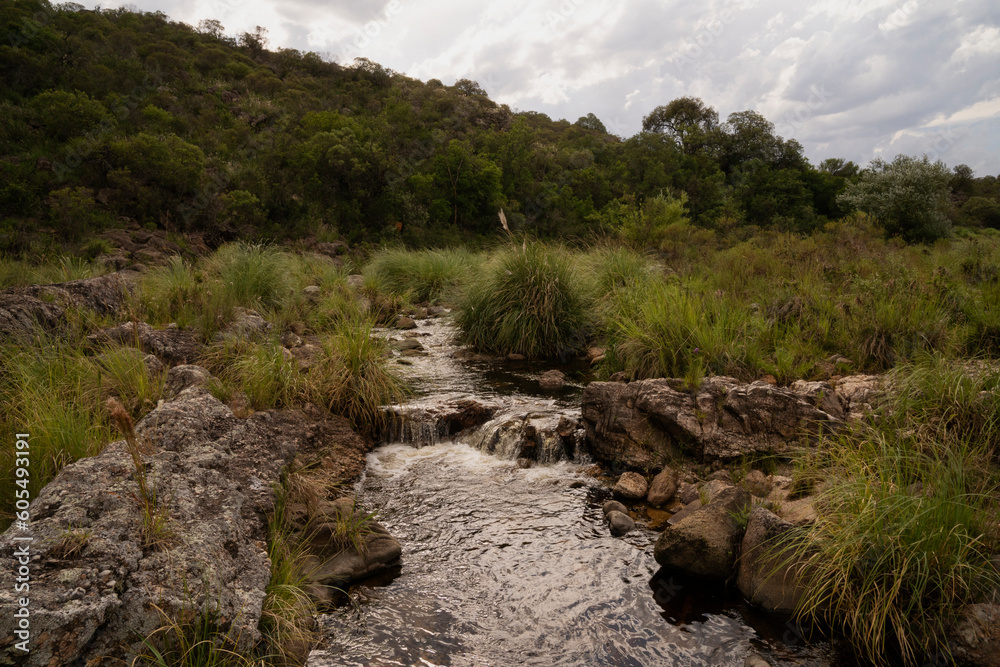 View of the rocky river flowing along the mountains and green valley. View of the rocky river flowing along the mountains and green valley.