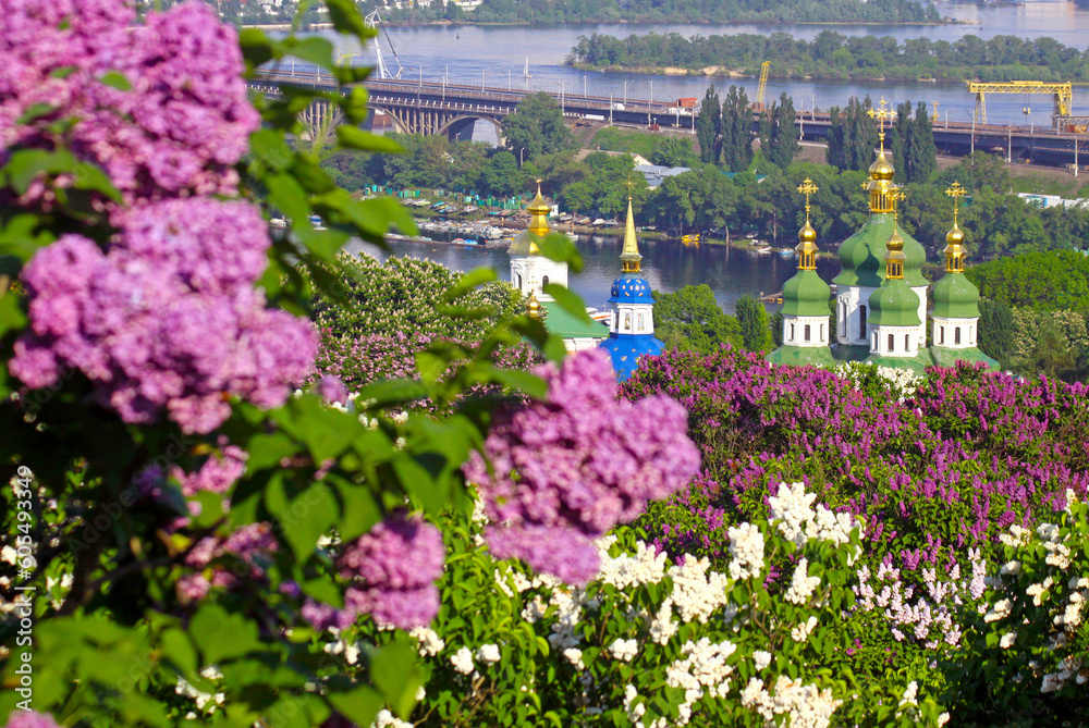 Kyiv Botanical Garden in spring. View to the Vydubichi monastery. Kyiv, Ukraine