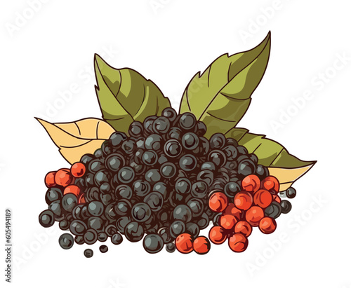 Fresh food ripe bluberries refreshment