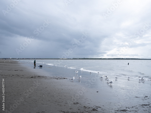 Seagulls outnumber fisherman on the beach with during the Alaska Native dip netting season on the Kenai Peninsula