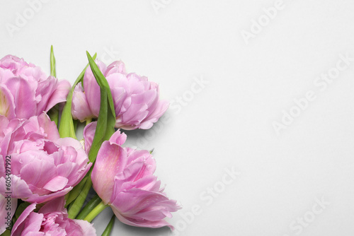 Fototapeta Naklejka Na Ścianę i Meble -  Beautiful colorful tulip flowers on white background, top view. Space for text