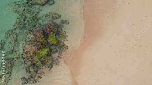 sea