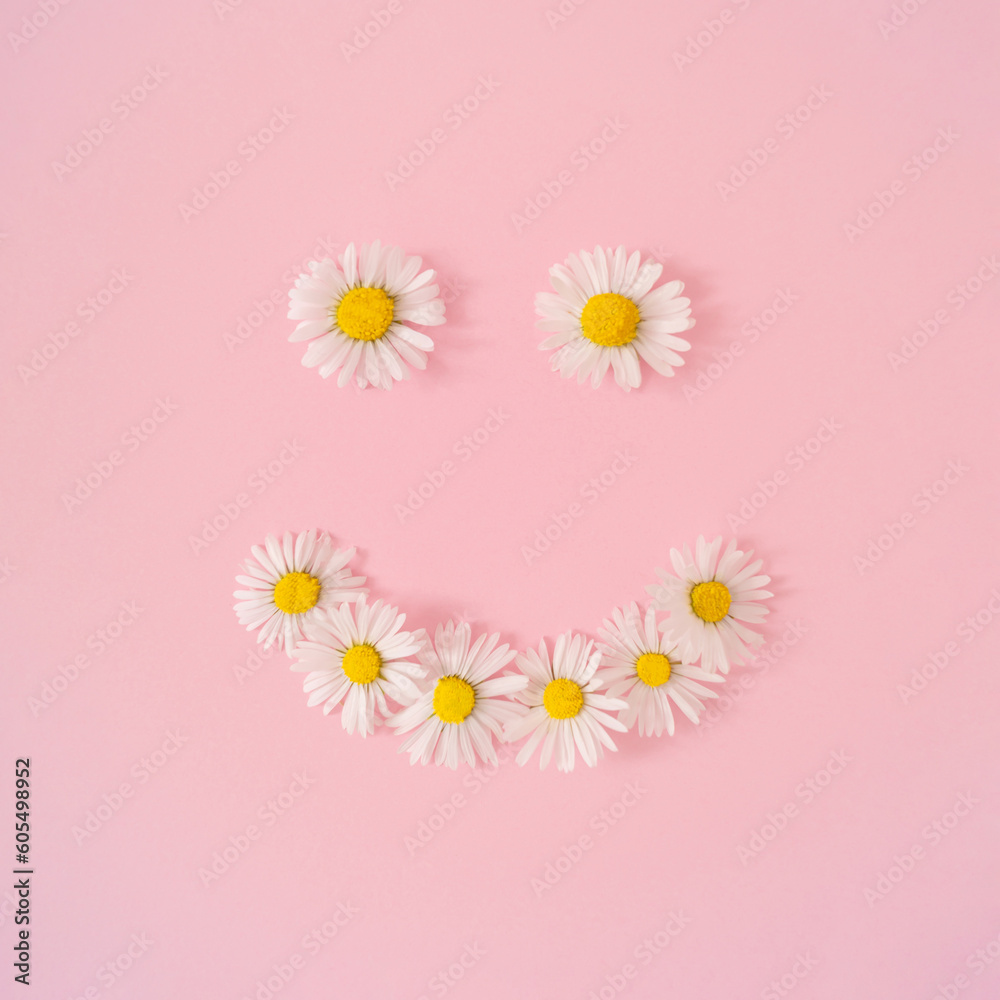Smiley made of summer daisy flowers on pastel pink background. Minimal creative composition. Flat lay concept. Top of view.