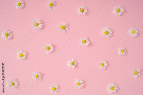 Trendy pattern made of summer daisy flowers on pastel pink background. Minimal layout composition. Flat lay concept. Top of view.