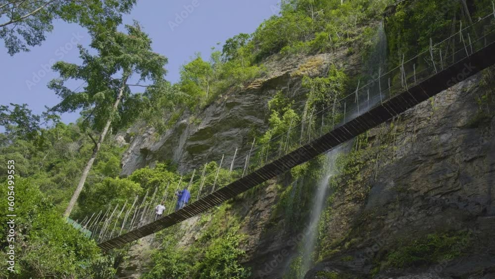 A view of a canopy treetop walkway in the forest A view of a canopy treetop walkway in the forest