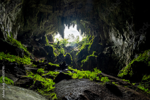 Fairy Caves, Sarawak, Borneo, Malaysia, Southeast Asia, Asia photo