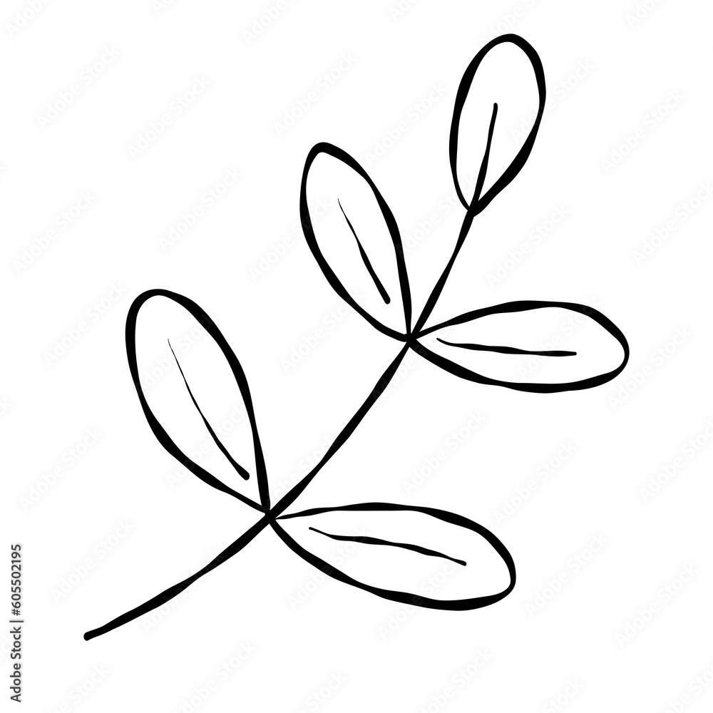 Hand drawn doodle leave illustration for element. Hand drawn doodle leave illustration for element.