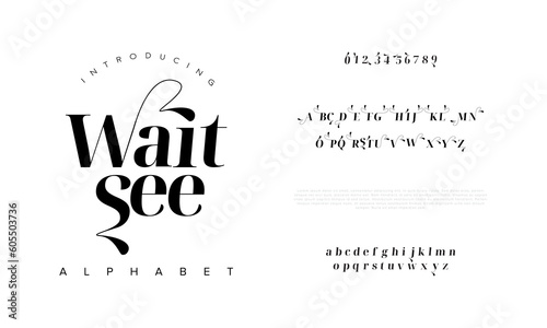 Waitsee elegant alphabet letters font and number. Classic Lettering Minimal Fashion Designs. Typography modern serif fonts decorative vintage design concept. vector illustration