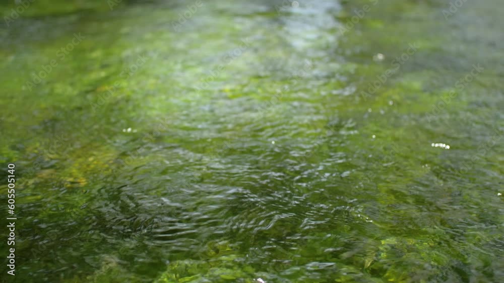 Close-up of the translucent water of a mountain river, in Bosnia Close-up of the translucent water of a mountain river, in Bosnia