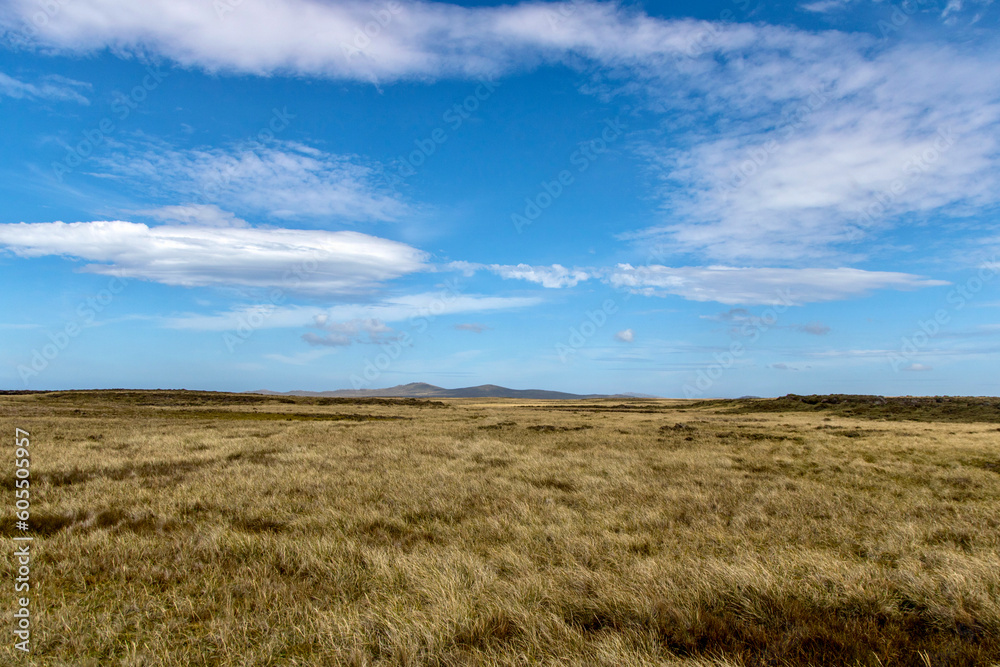 Grassy plains near Volunteer Point on the Falkland Islands Grassy plains near Volunteer Point on the Falkland Islands