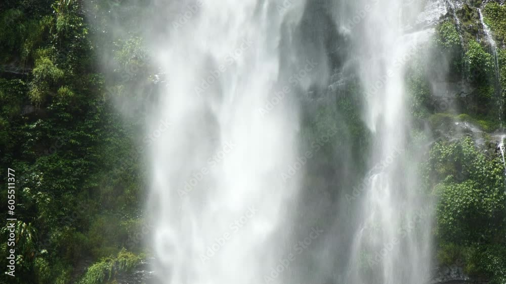 waterfall in the forest waterfall in the forest