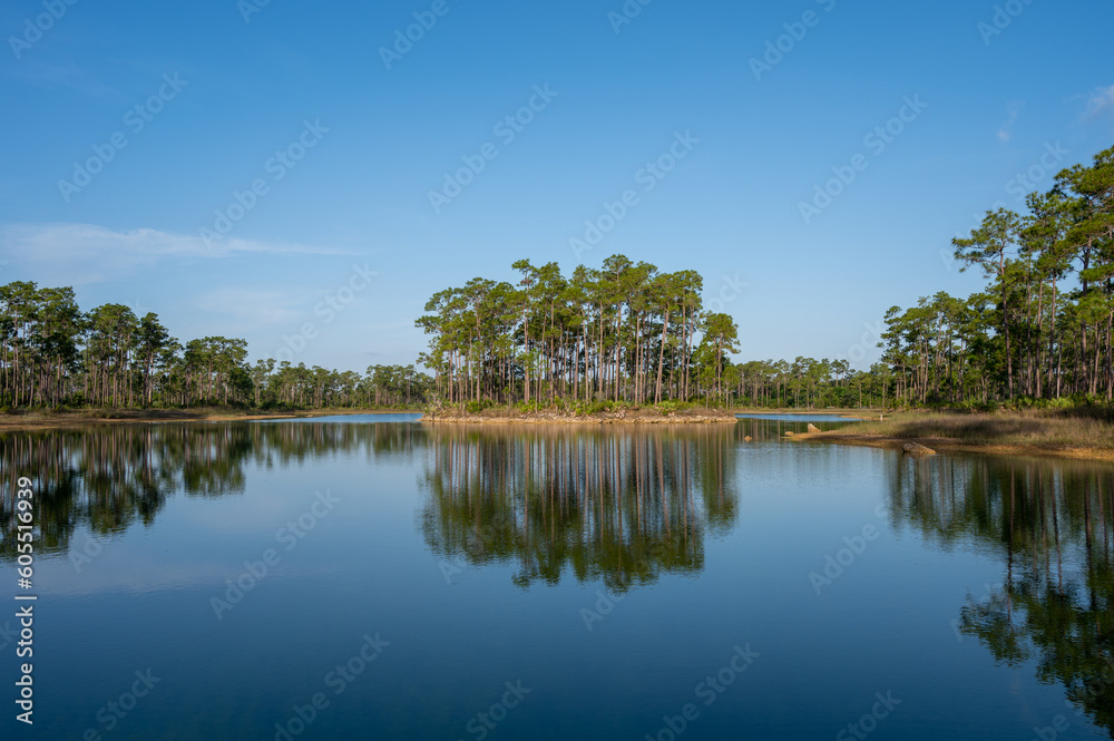 Obraz premium Tranquil morning waterscape at Long Pine Key in Everglades National Park, Florida.