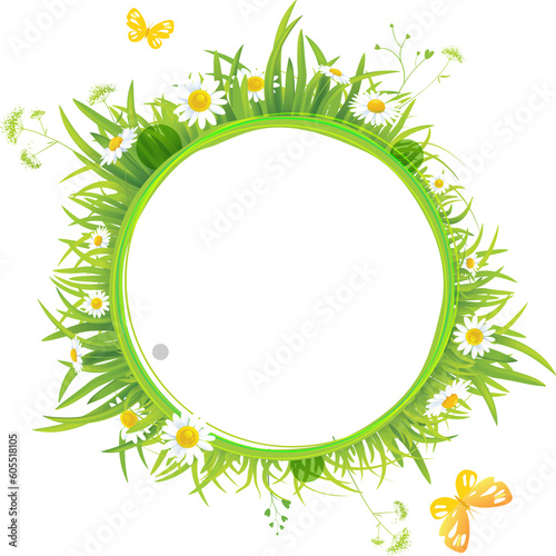 Colorful wild flower background with frame
