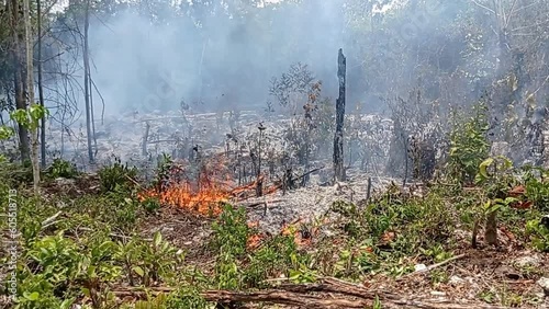 Inicio y propagación de un incendio forestal por descuido de una persona, selva verde incendiada y quemándose rápidamente. photo